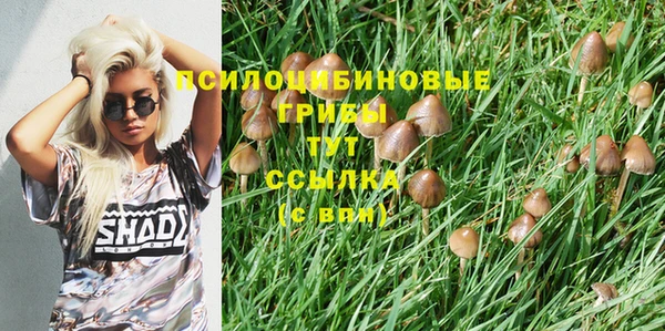 прущие крисы Гусь-Хрустальный