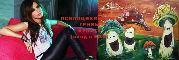 не бодяженный Гусиноозёрск